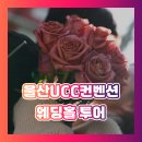 그린포레 | 울산UCC컨벤션 웨딩홀 살펴본 후기! (라움포레/그린나래/예그리나/수피아)