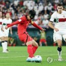 월드컵라이브 이미지