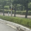 남항근린공원 화장실 이미지