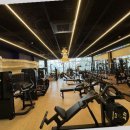 타임라인 피트니스 이미지