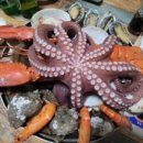 구곡주유소 이미지