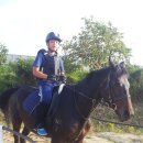 화순제일중학교 이미지