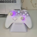 메카닉 PC | 닌텐도 스위치&amp;스팀 PC 게임패드 추천 [메카닉 컨트롤러] 내돈내산