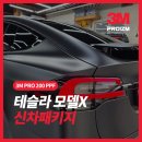 하이엔드택스강서지점 | 부산 강서구 모델X PPF 신차패키지 성지