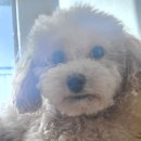 연이동물병원 이미지