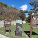 늘목장 | 대관령 하늘목장 양때목장 대관령양때목장 평창양때목장 강원도데이트코스 강원도볼거리 이색데이트