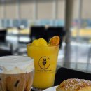 패디필드358 이미지