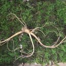 미도농장 이미지