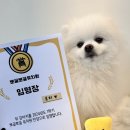 뽀글뽀글 반려견 유치원&호텔 이미지