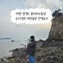 애견발자국 | 태안 안면도 꽃지해수욕장 주차정보 애견동반 산책후기