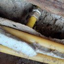 서문여관 이미지