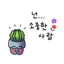 프레드피자광주