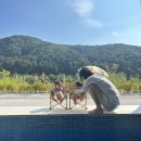 소노리베뷰 | 홍천) 소노리베뷰 / 아기랑 풀빌라 / 강원도 최고뷰 / 홍천 풀빌라 / 강원도 풀빌라 / 감성샷