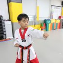 미래교육관 태권도장 이미지