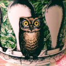 아이유 - 일루미나티 (디시인사이드) 이미지