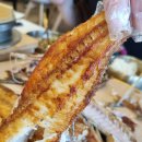 용소1길 | [기장 넘버원연화리 생선구이 후기] 바다뷰 보며 먹는 생선구이 맛집 가족모임, 나들이, 데이트 코스...