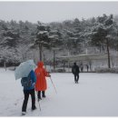 일산고봉고봉1 이미지