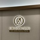 송도건국동물병원 이미지