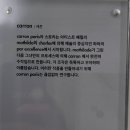 리빙하이클래스