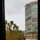 BYC사거리 Daum카페