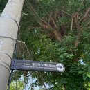 꼬마숲어린이집_경계10m | 서울 편백숲