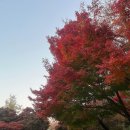 풍경주