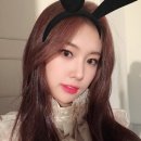 비올레타