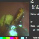 더샵 동물병원 이미지