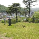 지꼬 이미지