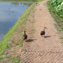 왕송호수공원 이미지