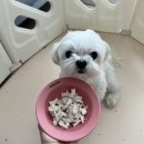 다온팜스 이미지