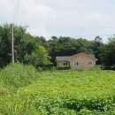 여주-1134 이미지