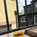 현승식품 | 2024 1학기 종강 후 6월