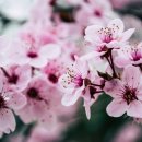 부일부동산공인중개사사무소 이미지