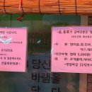 홍매회수산 이미지