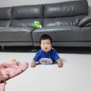 국가정보자원관리원(4호기) | [엄마 마음 공감 글] 독박 육아 연년생 맘의 아이돌봄서비스 솔직 후기, 고민하는 분들께 추천하는 이유