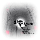 별빛하랑