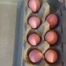 금우농장 이미지