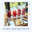 카페범도리 | 밀양 단장면 카페 범도리 유모차 OK 유아동반 추천