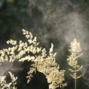 자양한의원 이미지