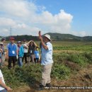 흥부 농장 이미지