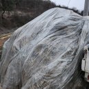 영주볏짚 이미지