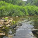 설마리 | 서울 근교 여름 피서지! 파주 설마리계곡 완벽 가이드