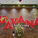 런드리 솔 | 나트랑 하바나 호텔 오션뷰 숙소 추천 씨뷰 트윈룸 수영장