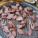 장수농협주유소 이미지