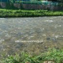 북한산 숯불닭갈비&돼지갈비 이미지