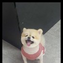 멍했냥 평택본점 이미지