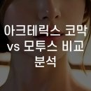 88세탁소 | 아크테릭스 코막 vs 모투스 비교 분석