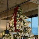 데시벨 | [수원 영통 느좋 카페] 카공 가능한 분위기 맛집 55 데시벨 내돈내산 후기