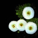 연못이 있는 풍경 이미지